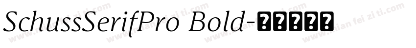 SchussSerifPro Bold字体转换